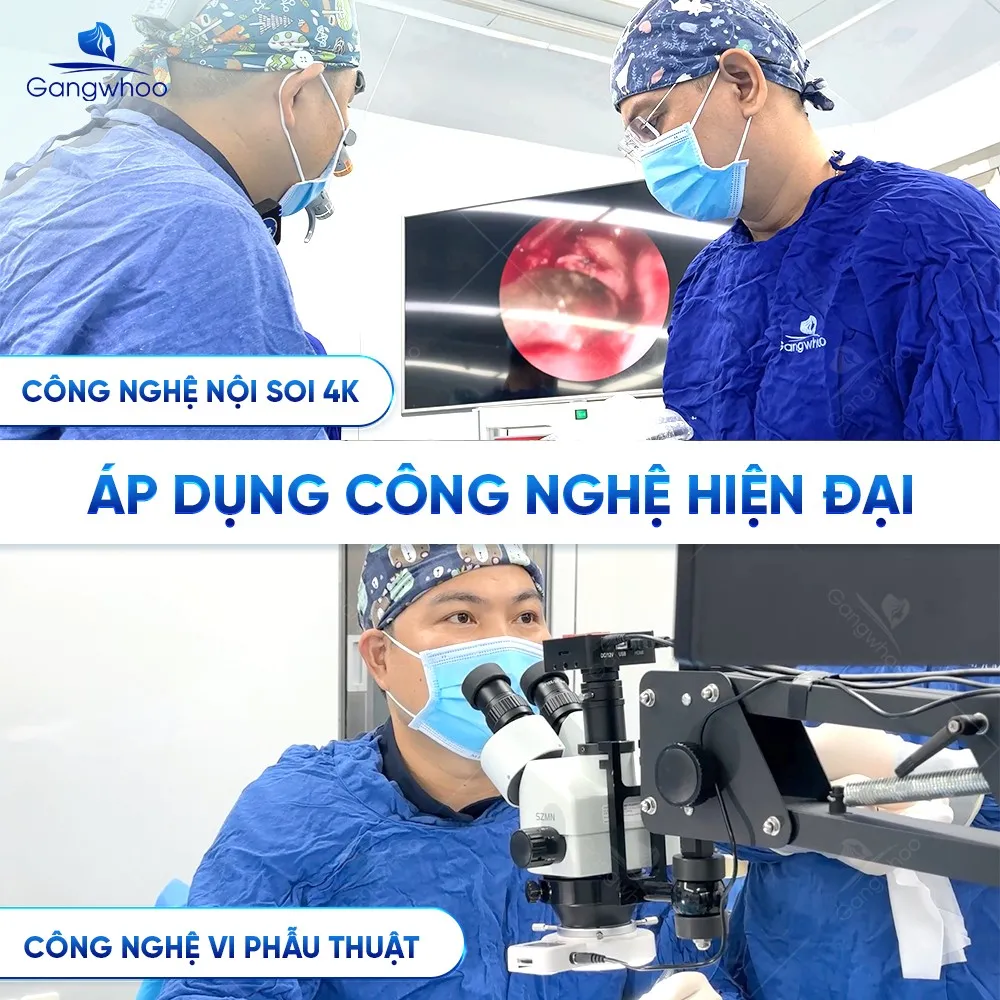 TMV Gangwhoo luôn ứng dụng những công nghệ hiện đại hàng đầu