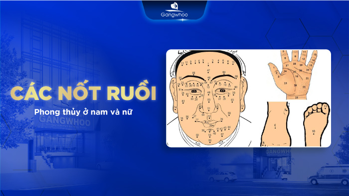 Vị Trí Nốt Ruồi Phong Thủy Ở Nam Và Nữ